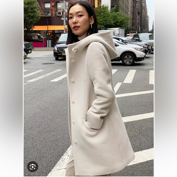 Aritzia Wool Hooded Coat - Picture 8 of 12